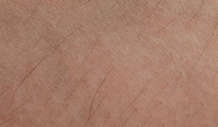 人体皮肤纹理与毛囊特写