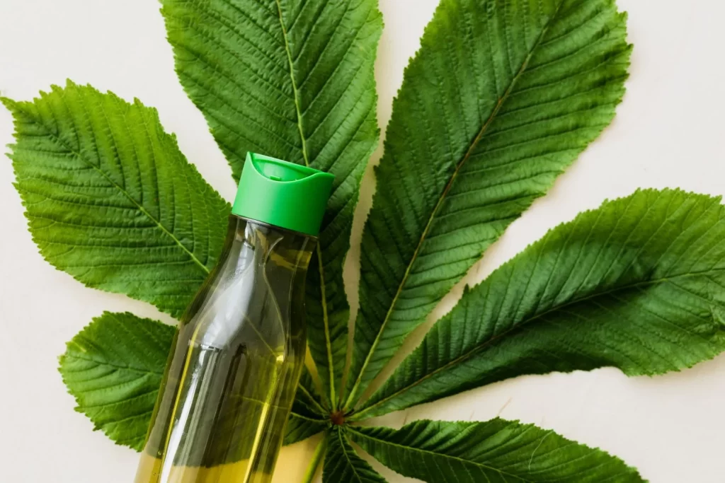 化妆油瓶放置在绿色栗子树叶上俯拍