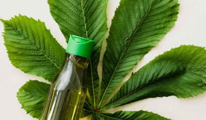 化妆油瓶放置在绿色栗子树叶上俯拍