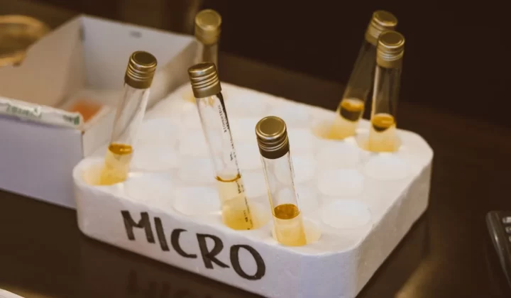 实验室试管放在泡沫托盘中,标记MICRO特写
