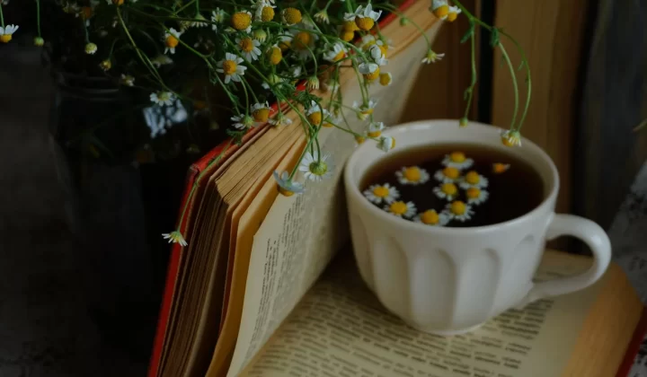 宁静场景搭配打开的书本洋甘菊茶和花朵