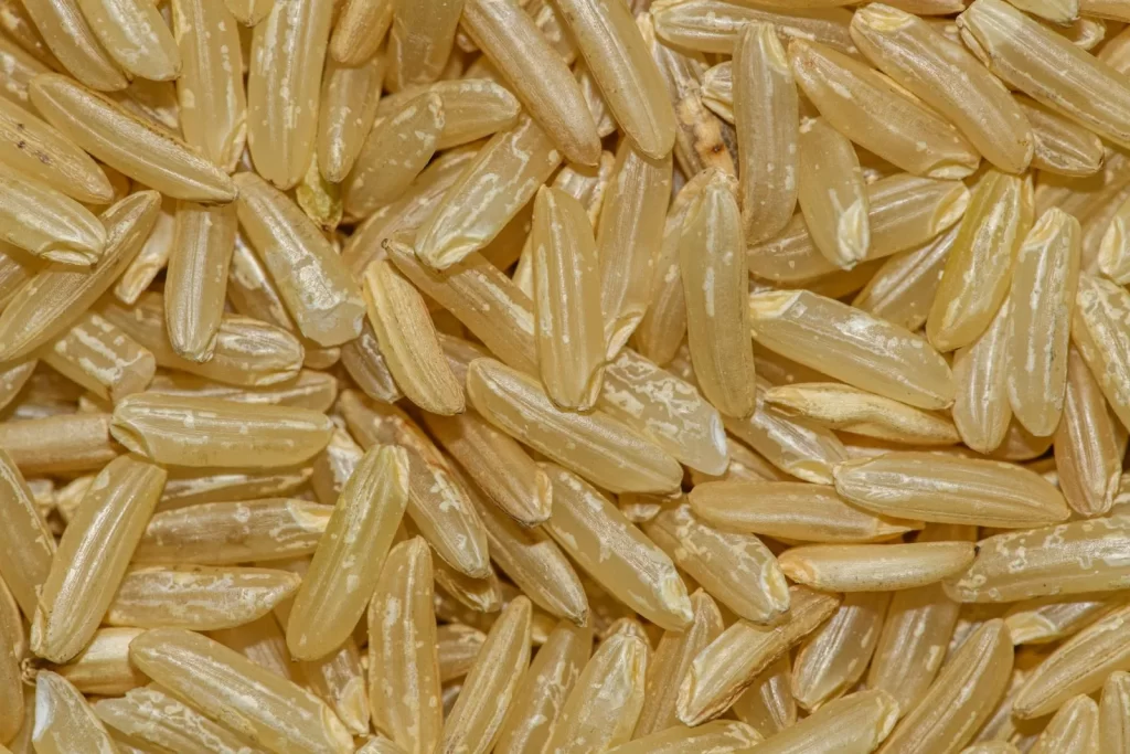 未煮糙米颗粒宏观特写,展现质感和天然色泽