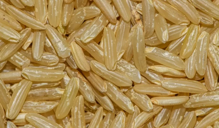 未煮糙米颗粒宏观特写,展现质感和天然色泽