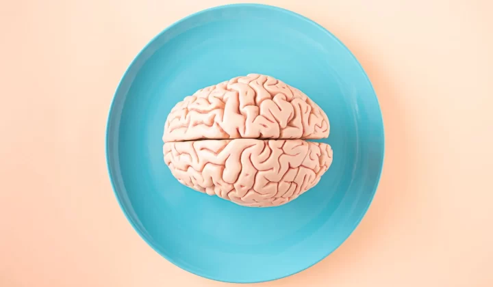 人脑模型放在蓝色盘子上,粉彩背景俯拍