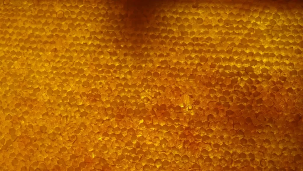 生动蜂巢结构特写,展现自然图案
