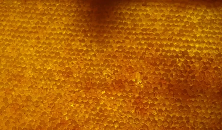 生动蜂巢结构特写,展现自然图案