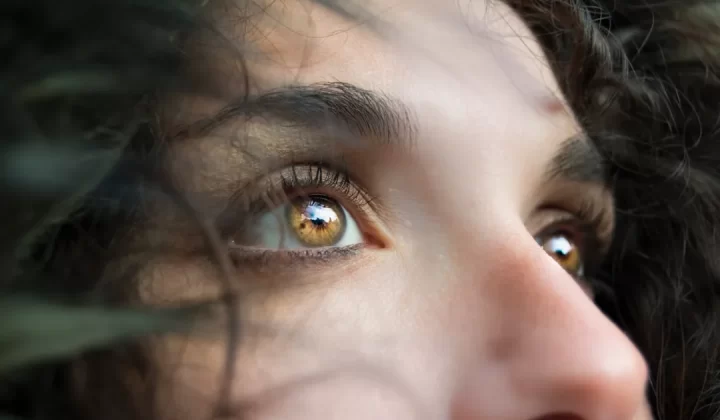 closeup photo of person