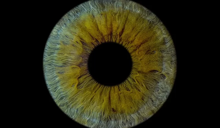 A close up of a yellow eyeball in the dark