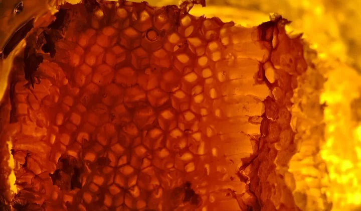 a close up of a piece of food