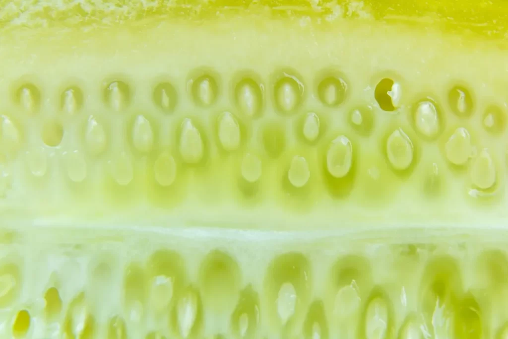 a close up of a kiwi fruit slice