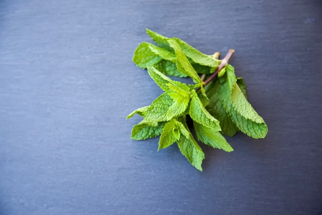green leaves on gray textile
