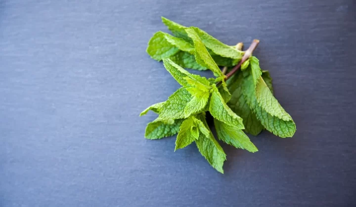 green leaves on gray textile
