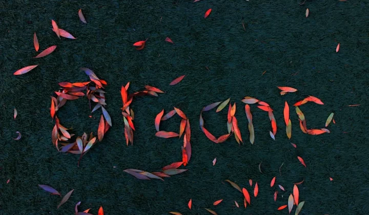 a group of red and orange streamers that spell out the word project