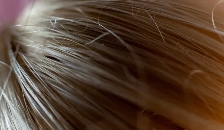 close up of a hair
