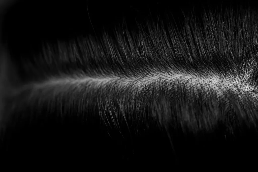 a black and white photo of some hair