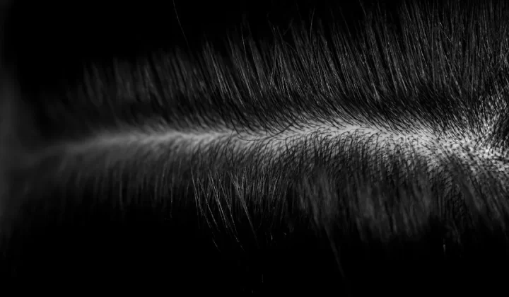a black and white photo of some hair
