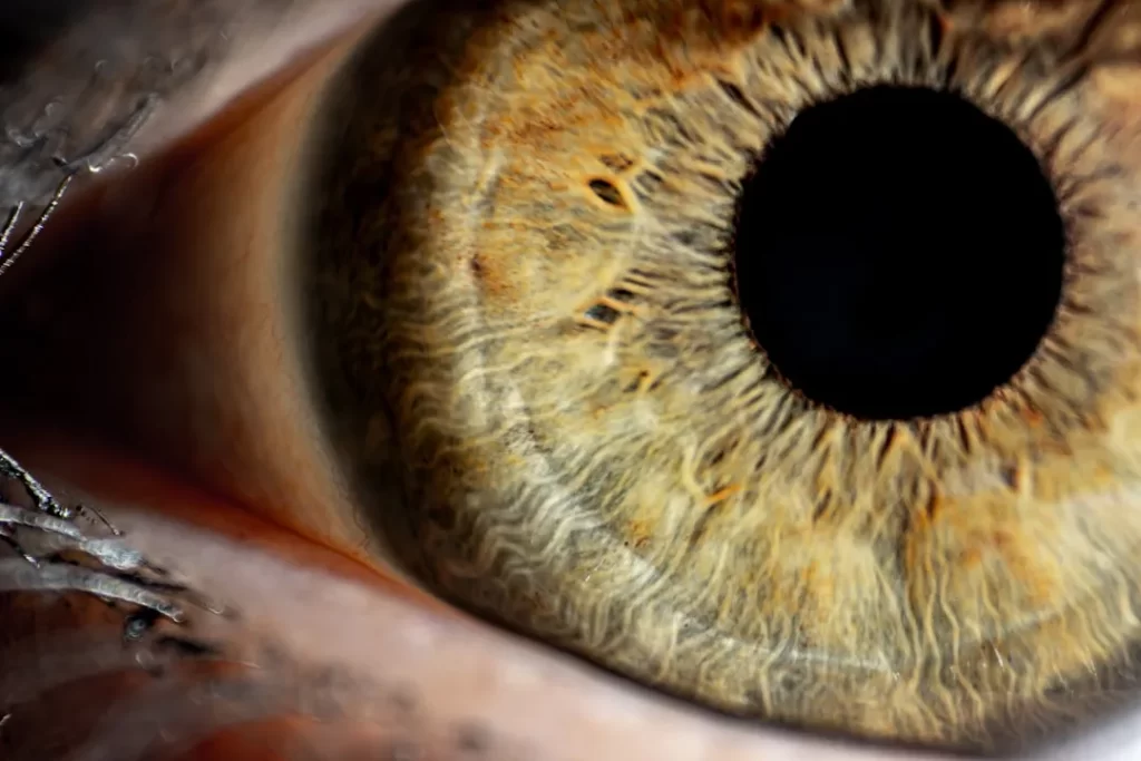 a close up of an eye