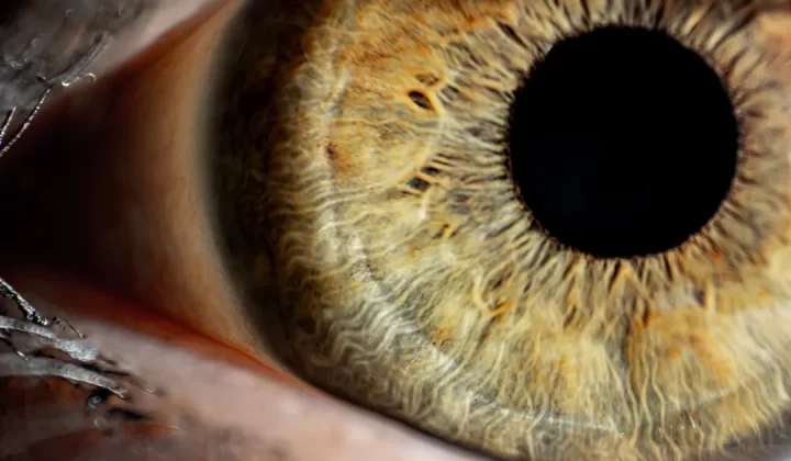 a close up of an eye