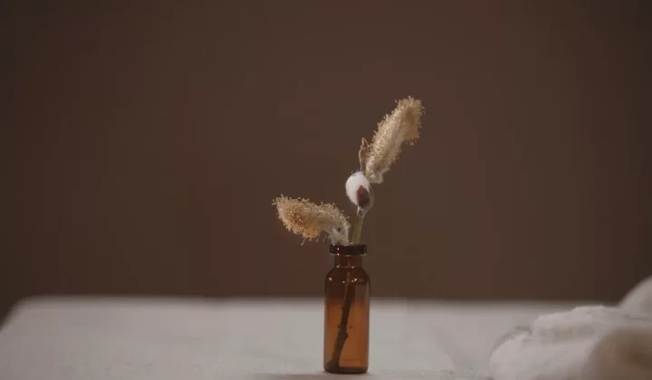 a dried flower in a brown bottle on a bed