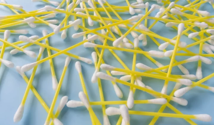 a close up of a plant